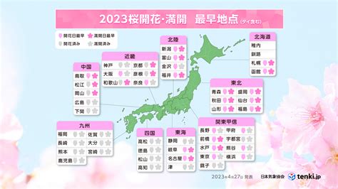 現在開花的樹|2024年11月27日 現在の開花情報 